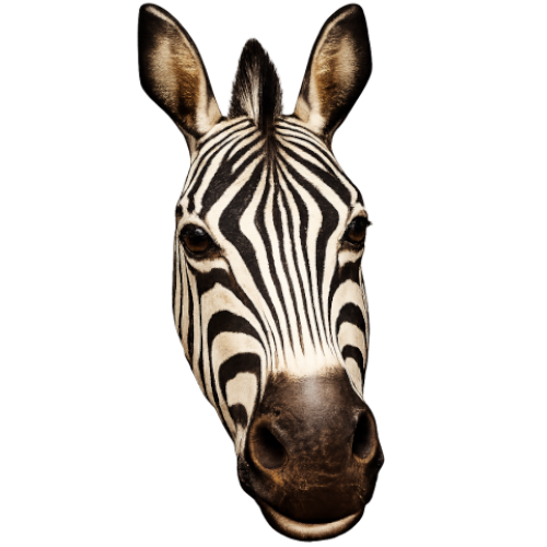 Black and White mask